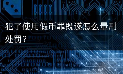 犯了使用假币罪既遂怎么量刑处罚?
