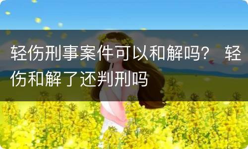 轻伤刑事案件可以和解吗？ 轻伤和解了还判刑吗