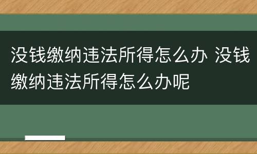 没钱缴纳违法所得怎么办 没钱缴纳违法所得怎么办呢