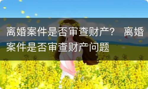 离婚案件是否审查财产？ 离婚案件是否审查财产问题