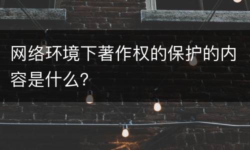 网络环境下著作权的保护的内容是什么？