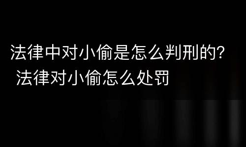 法律中对小偷是怎么判刑的？ 法律对小偷怎么处罚