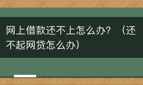 网上借款还不上怎么办？（还不起网贷怎么办）