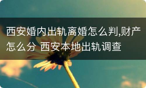西安婚内出轨离婚怎么判,财产怎么分 西安本地出轨调查