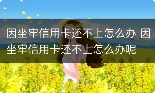 因坐牢信用卡还不上怎么办 因坐牢信用卡还不上怎么办呢