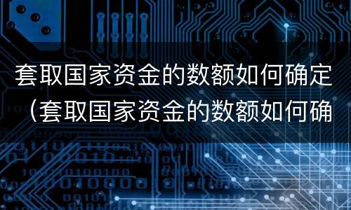 套取国家资金的数额如何确定（套取国家资金的数额如何确定罪名）