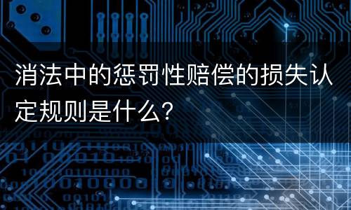 消法中的惩罚性赔偿的损失认定规则是什么？