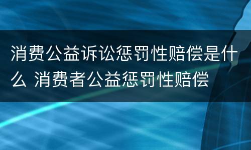 消费公益诉讼惩罚性赔偿是什么 消费者公益惩罚性赔偿