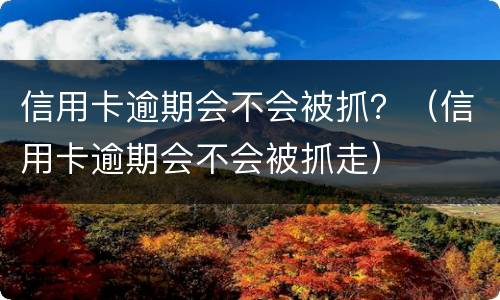 信用卡逾期会不会被抓？（信用卡逾期会不会被抓走）