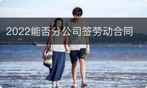 2022能否分公司签劳动合同