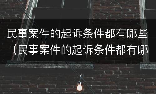 民事案件的起诉条件都有哪些（民事案件的起诉条件都有哪些内容）