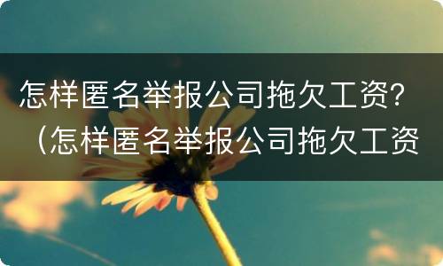 怎样匿名举报公司拖欠工资？（怎样匿名举报公司拖欠工资电话）
