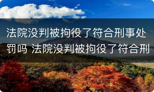 法院没判被拘役了符合刑事处罚吗 法院没判被拘役了符合刑事处罚吗知乎