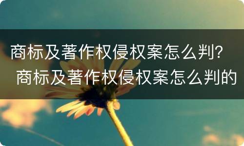 商标及著作权侵权案怎么判？ 商标及著作权侵权案怎么判的