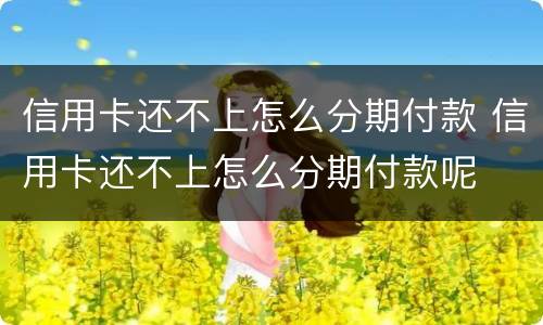信用卡还不上怎么分期付款 信用卡还不上怎么分期付款呢