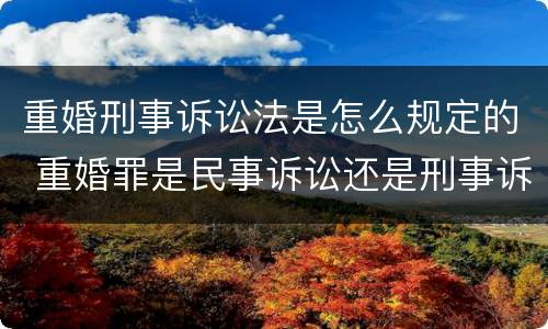 重婚刑事诉讼法是怎么规定的 重婚罪是民事诉讼还是刑事诉讼