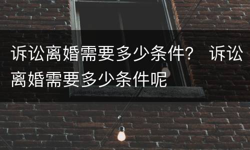 诉讼离婚需要多少条件？ 诉讼离婚需要多少条件呢