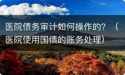 医院债务审计如何操作的？（医院使用国债的账务处理）