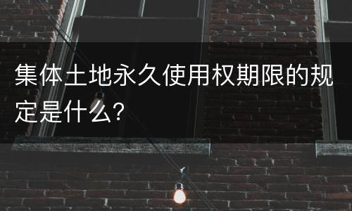 集体土地永久使用权期限的规定是什么？