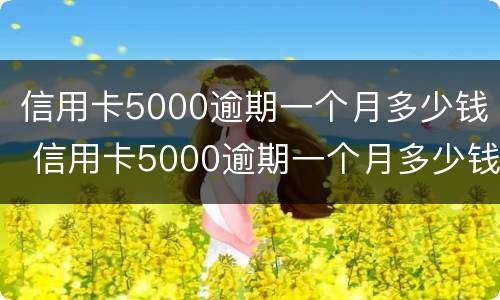 信用卡5000逾期一个月多少钱 信用卡5000逾期一个月多少钱利息