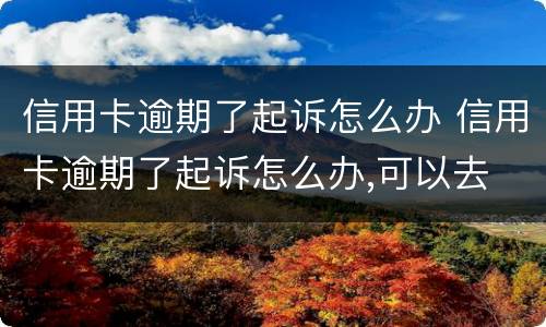 信用卡逾期了起诉怎么办 信用卡逾期了起诉怎么办,可以去