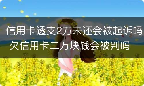 信用卡透支2万未还会被起诉吗 欠信用卡二万块钱会被判吗
