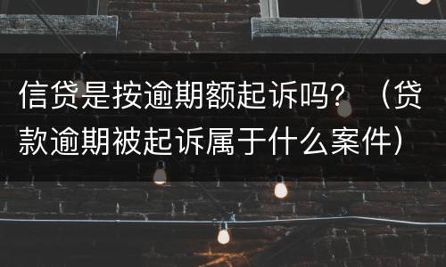 信贷是按逾期额起诉吗？（贷款逾期被起诉属于什么案件）