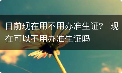 目前现在用不用办准生证？ 现在可以不用办准生证吗
