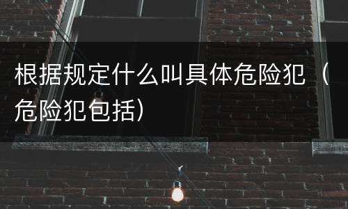 根据规定什么叫具体危险犯（危险犯包括）