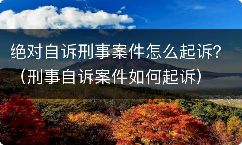 绝对自诉刑事案件怎么起诉？（刑事自诉案件如何起诉）
