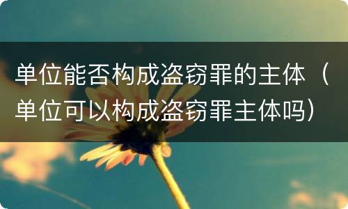单位能否构成盗窃罪的主体（单位可以构成盗窃罪主体吗）
