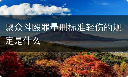 聚众斗殴罪量刑标准轻伤的规定是什么