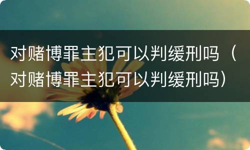 对赌博罪主犯可以判缓刑吗（对赌博罪主犯可以判缓刑吗）