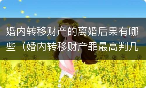 婚内转移财产的离婚后果有哪些（婚内转移财产罪最高判几年）
