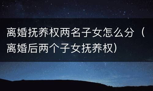 离婚抚养权两名子女怎么分（离婚后两个子女抚养权）