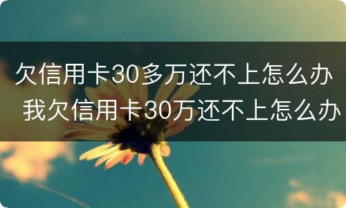 欠信用卡30多万还不上怎么办 我欠信用卡30万还不上怎么办