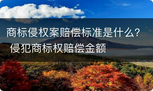 商标侵权案赔偿标准是什么？ 侵犯商标权赔偿金额