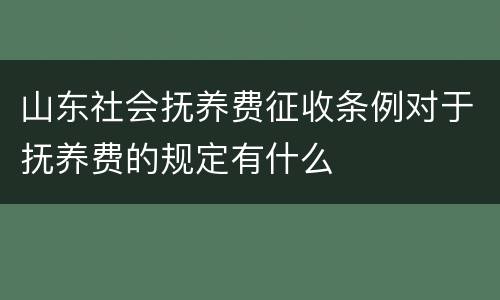 山东社会抚养费征收条例对于抚养费的规定有什么