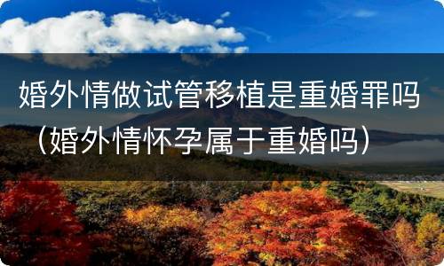 婚外情做试管移植是重婚罪吗（婚外情怀孕属于重婚吗）