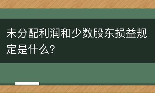 未分配利润和少数股东损益规定是什么？