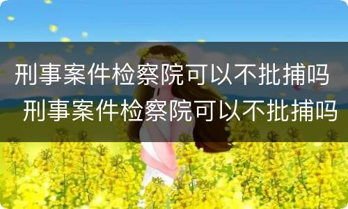 刑事案件检察院可以不批捕吗 刑事案件检察院可以不批捕吗