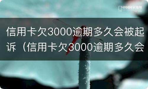 信用卡欠3000逾期多久会被起诉（信用卡欠3000逾期多久会被起诉成功）
