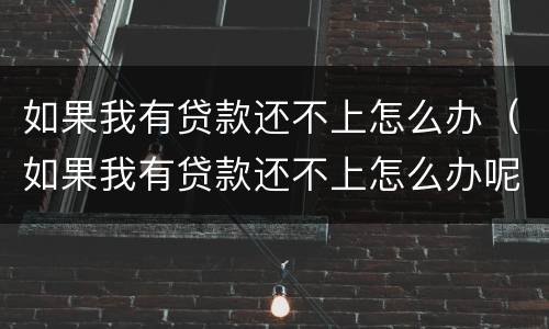 如果我有贷款还不上怎么办（如果我有贷款还不上怎么办呢）