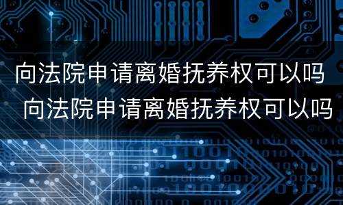 向法院申请离婚抚养权可以吗 向法院申请离婚抚养权可以吗