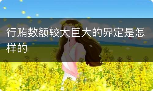 行贿数额较大巨大的界定是怎样的