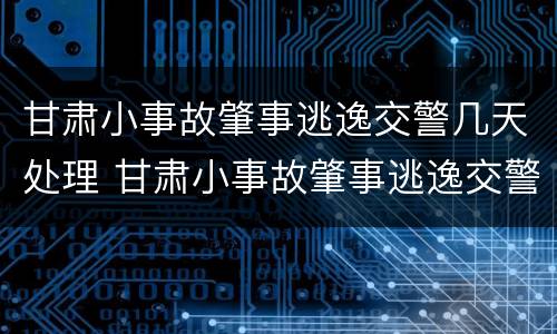 甘肃小事故肇事逃逸交警几天处理 甘肃小事故肇事逃逸交警几天处理结束