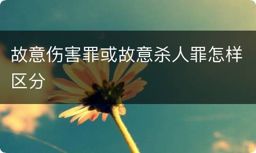 故意伤害罪或故意杀人罪怎样区分