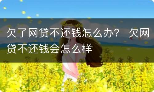 欠了网贷不还钱怎么办？ 欠网贷不还钱会怎么样