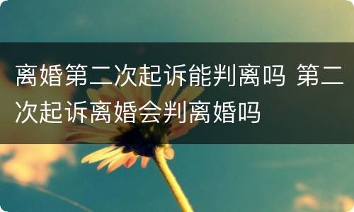 离婚第二次起诉能判离吗 第二次起诉离婚会判离婚吗