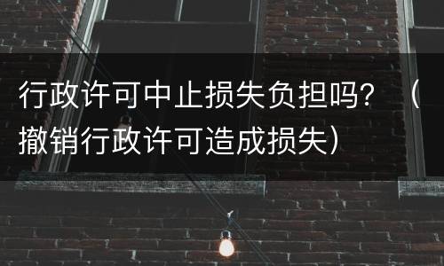 行政许可中止损失负担吗？（撤销行政许可造成损失）